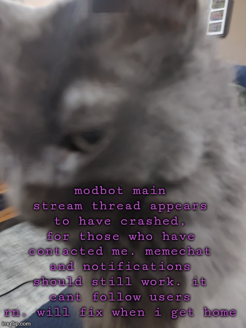 32's Cat | modbot main stream thread appears to have crashed, for those who have contacted me. memechat and notifications should still work. it cant follow users rn. will fix when i get home | image tagged in 32's cat | made w/ Imgflip meme maker
