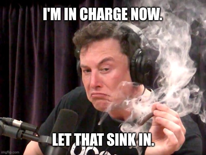 Elon Musk Weed | I'M IN CHARGE NOW. LET THAT SINK IN. | image tagged in elon musk weed | made w/ Imgflip meme maker