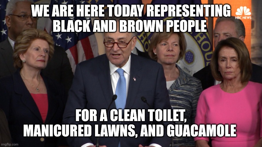 Communists Are Always Vote Hunting Stupid People | WE ARE HERE TODAY REPRESENTING BLACK AND BROWN PEOPLE; FOR A CLEAN TOILET, MANICURED LAWNS, AND GUACAMOLE | image tagged in democrat congressmen | made w/ Imgflip meme maker