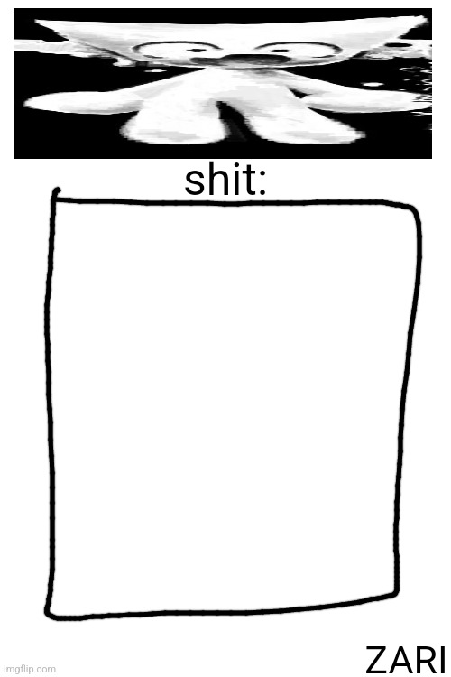 shit: ZARI | made w/ Imgflip meme maker