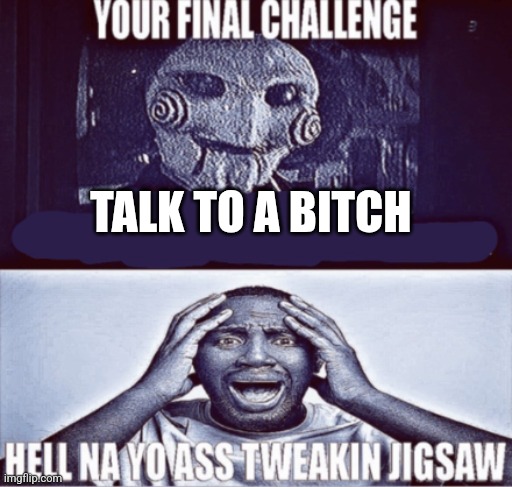 your final challenge | TALK TO A BITCH | image tagged in your final challenge | made w/ Imgflip meme maker