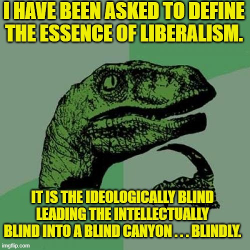 It's obvious, isn't it? | I HAVE BEEN ASKED TO DEFINE THE ESSENCE OF LIBERALISM. IT IS THE IDEOLOGICALLY BLIND LEADING THE INTELLECTUALLY BLIND INTO A BLIND CANYON . . . BLINDLY. | image tagged in philosoraptor | made w/ Imgflip meme maker