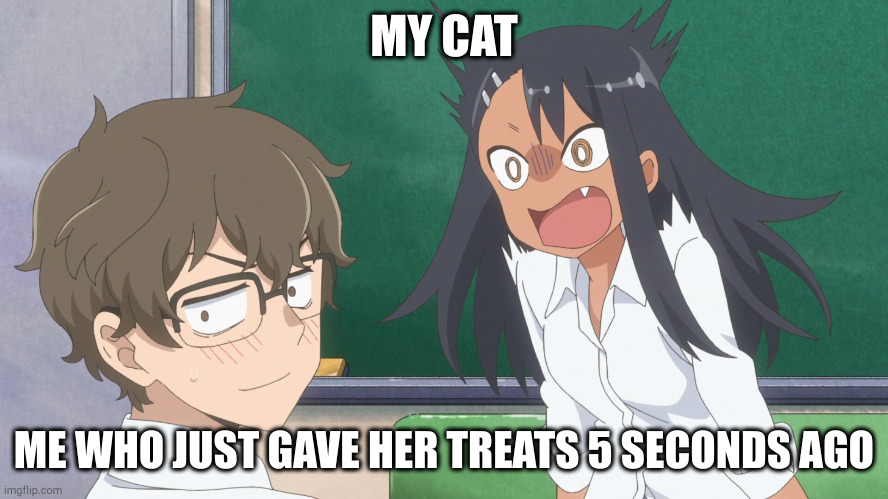 miss nagatoro | MY CAT; ME WHO JUST GAVE HER TREATS 5 SECONDS AGO | image tagged in miss nagatoro | made w/ Imgflip meme maker