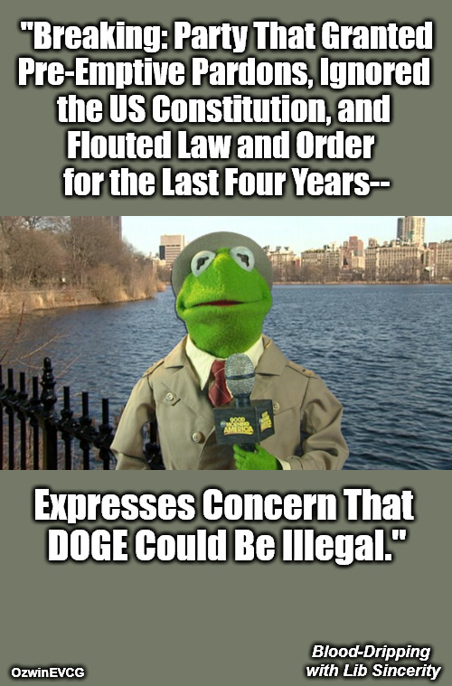 Blood-Dripping with Lib Sincerity | "Breaking: Party That Granted

Pre-Emptive Pardons, Ignored 

the US Constitution, and 

Flouted Law and Order  

for the Last Four Years--; Expresses Concern That 

DOGE Could Be Illegal."; Blood-Dripping 

with Lib Sincerity; OzwinEVCG | image tagged in breaking news,kermit and or pepe,liberal hypocrisy,doge,government corruption,politicians suck | made w/ Imgflip meme maker