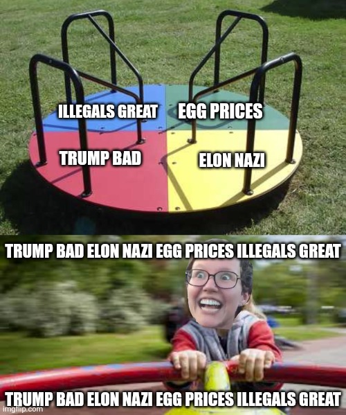 The only amusement park attraction leftist liberals will ride | ILLEGALS GREAT; EGG PRICES; TRUMP BAD; ELON NAZI; TRUMP BAD ELON NAZI EGG PRICES ILLEGALS GREAT; TRUMP BAD ELON NAZI EGG PRICES ILLEGALS GREAT | image tagged in real estate merry go round,merry go round aahhh,leftists,liberals,parrots,sheeple | made w/ Imgflip meme maker