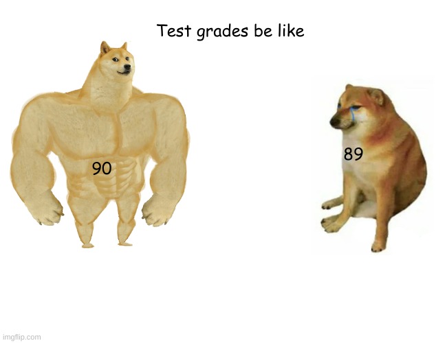 Buff Doge vs. Cheems | Test grades be like; 89; 90 | image tagged in memes,buff doge vs cheems | made w/ Imgflip meme maker