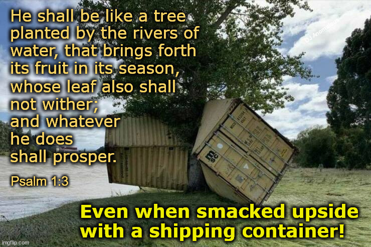 Rooted | He shall be like a tree
planted by the rivers of
water, that brings forth
its fruit in its season, DJ Anomalous; whose leaf also shall
not wither;
and whatever
he does
shall prosper. Psalm 1:3; Even when smacked upside
with a shipping container! | image tagged in grounded,promises,so true,thank god | made w/ Imgflip meme maker