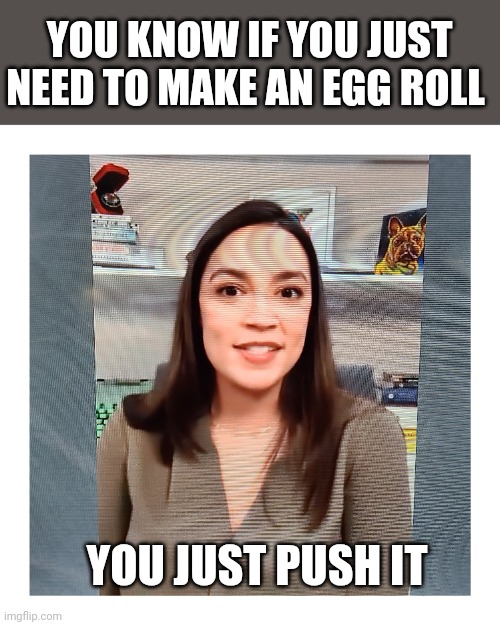 AOC | YOU KNOW IF YOU JUST NEED TO MAKE AN EGG ROLL; YOU JUST PUSH IT | image tagged in memes | made w/ Imgflip meme maker