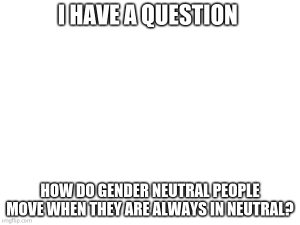 I HAVE A QUESTION; HOW DO GENDER NEUTRAL PEOPLE MOVE WHEN THEY ARE ALWAYS IN NEUTRAL? | made w/ Imgflip meme maker