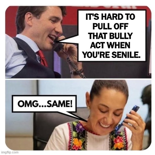 IT'S HARD TO 
PULL OFF 
THAT BULLY 
ACT WHEN 
YOU'RE SENILE. | image tagged in trump,bully,canada,mexico,fraud | made w/ Imgflip meme maker