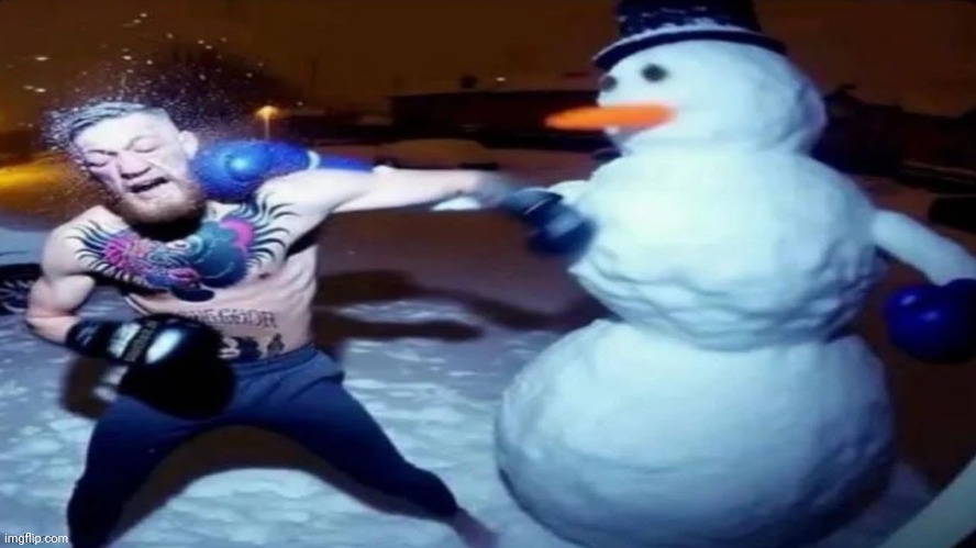 Snowman | image tagged in snowman | made w/ Imgflip meme maker