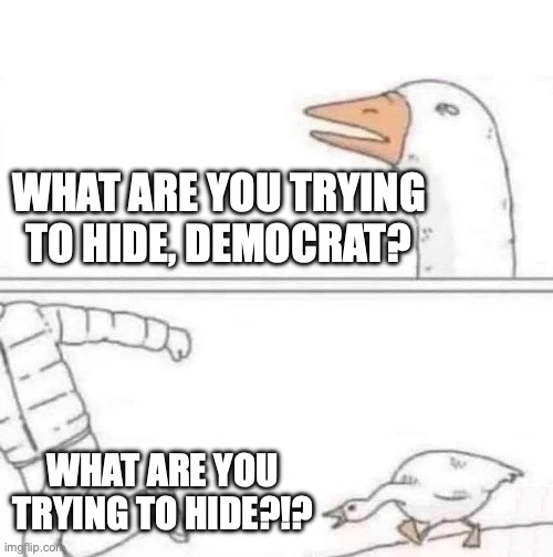 The louder they scream, the more corrupt they have to be. | WHAT ARE YOU TRYING TO HIDE, DEMOCRAT? WHAT ARE YOU TRYING TO HIDE?!? | image tagged in 2025,doge,corrupt,corruption,democrat,grift | made w/ Imgflip meme maker