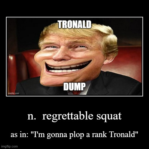 Tronald Dump - Define | n.  regrettable squat | as in: "I'm gonna plop a rank Tronald" | image tagged in funny,demotivationals,educational | made w/ Imgflip demotivational maker