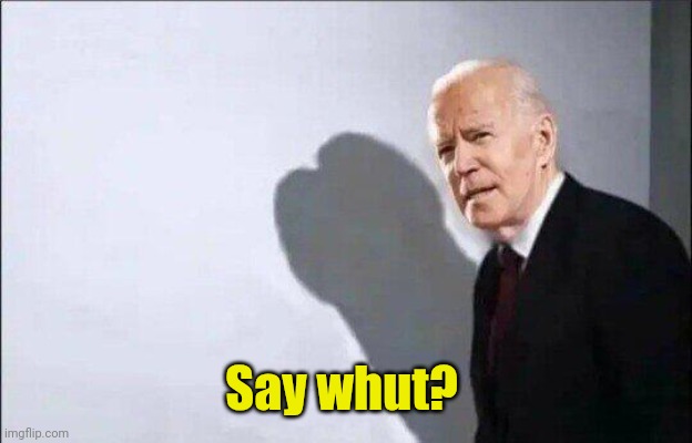 Biden Dickhead template | Say whut? | image tagged in biden dickhead template | made w/ Imgflip meme maker