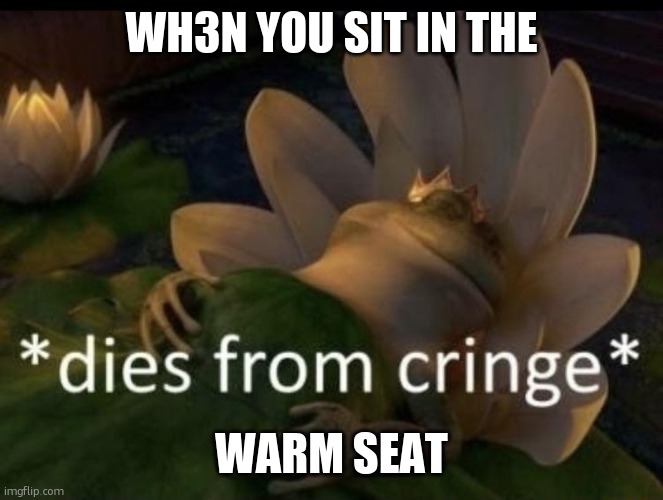 Dies from cringe | WH3N YOU SIT IN THE WARM SEAT | image tagged in dies from cringe | made w/ Imgflip meme maker