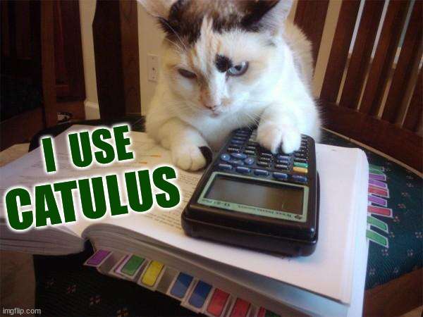 Check my catulations | I  USE; CATULUS | image tagged in calculus,cat,bad pun,really,bad puns,eyeroll | made w/ Imgflip meme maker