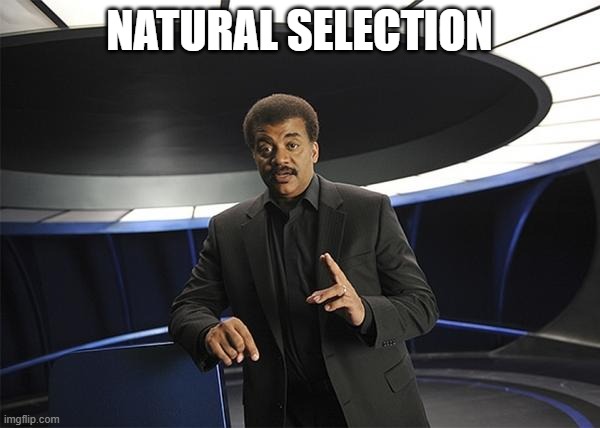 Neil deGrasse Tyson Cosmos | NATURAL SELECTION | image tagged in neil degrasse tyson cosmos | made w/ Imgflip meme maker