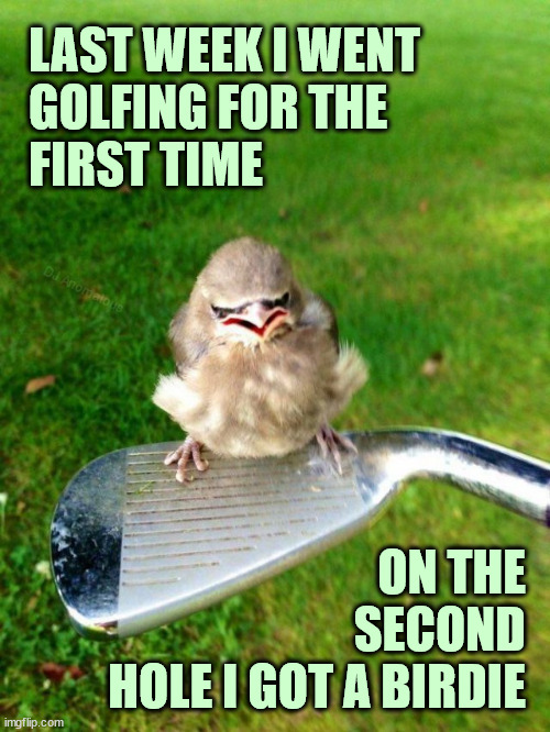 Fair way? | LAST WEEK I WENT
GOLFING FOR THE
FIRST TIME; DJ Anomalous; ON THE
SECOND
HOLE I GOT A BIRDIE | image tagged in golf,score,grass,bird,pun,eyeroll | made w/ Imgflip meme maker