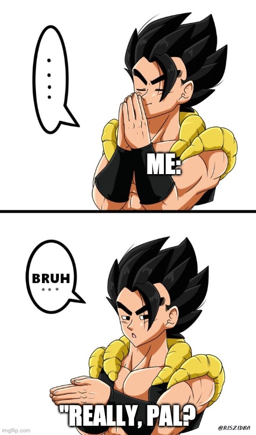 Gogeta Inhale Bruh | ME: "REALLY, PAL? | image tagged in gogeta inhale bruh | made w/ Imgflip meme maker