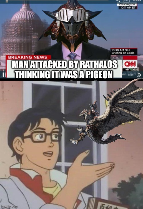 Stupid | MAN ATTACKED BY RATHALOS THINKING IT WAS A PIGEON | image tagged in cnn breaking news template,memes,is this a pigeon,monster hunter | made w/ Imgflip meme maker