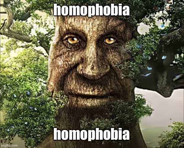 homophobia | homophobia; homophobia | image tagged in tree | made w/ Imgflip meme maker