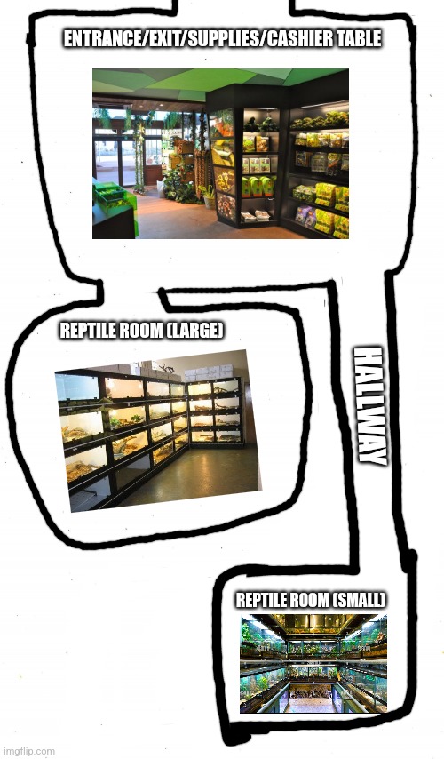 This is the map of mendelevian reptiles, | ENTRANCE/EXIT/SUPPLIES/CASHIER TABLE; REPTILE ROOM (LARGE); HALLWAY; REPTILE ROOM (SMALL) | image tagged in plain white,map,official map | made w/ Imgflip meme maker