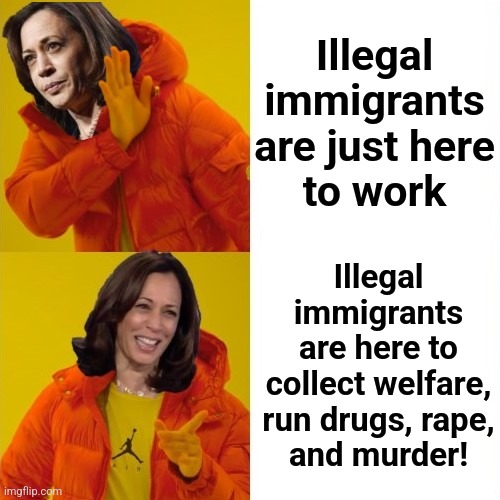 Kamala Harris Hotline Bling | Illegal immigrants are just here
to work Illegal
immigrants
are here to
collect welfare,
run drugs, rape,
and murder! | image tagged in kamala harris hotline bling | made w/ Imgflip meme maker