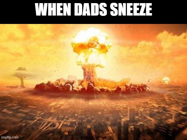 Dad meme #2 | WHEN DADS SNEEZE | image tagged in lol | made w/ Imgflip meme maker