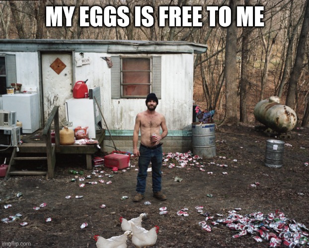 Trailer Trash | MY EGGS IS FREE TO ME | image tagged in trailer trash | made w/ Imgflip meme maker