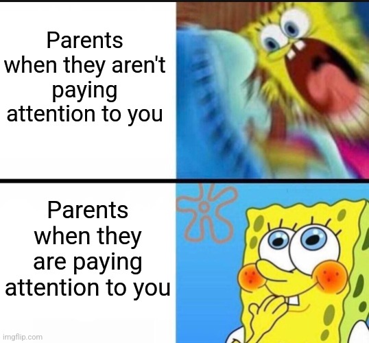 spongebob yelling | Parents when they aren't paying attention to you; Parents when they are paying attention to you | image tagged in spongebob yelling,parents | made w/ Imgflip meme maker