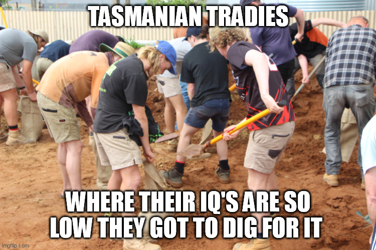 Tasmanian Tradies are dumb | TASMANIAN TRADIES; WHERE THEIR IQ'S ARE SO LOW THEY GOT TO DIG FOR IT | image tagged in tradies,tasmania,tasmanian,australia,dumb,iq | made w/ Imgflip meme maker