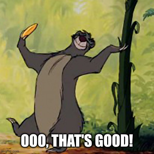 Baloo Jungle Book | OOO, THAT'S GOOD! | image tagged in baloo jungle book | made w/ Imgflip meme maker