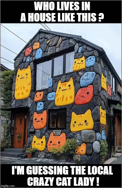 The Perfect Property ! | WHO LIVES IN A HOUSE LIKE THIS ? I'M GUESSING THE LOCAL
 CRAZY CAT LADY ! | image tagged in cats,house,crazy cat lady | made w/ Imgflip meme maker