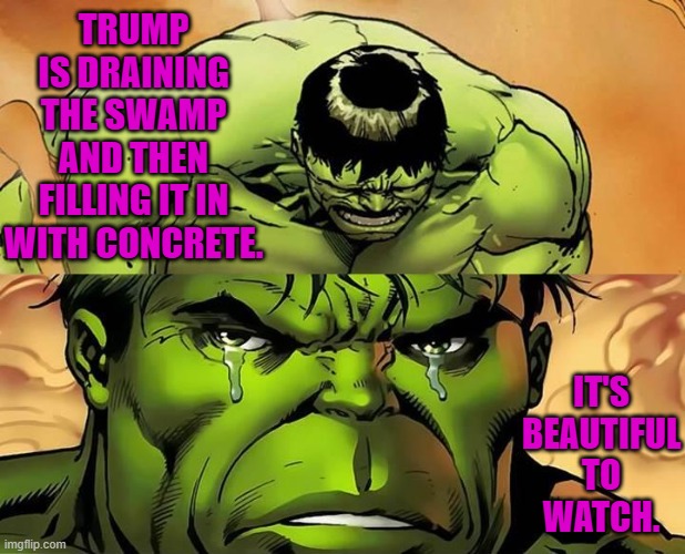 He was planning all this stuff when leftists had him inside all those court rooms. | TRUMP IS DRAINING THE SWAMP AND THEN FILLING IT IN WITH CONCRETE. IT'S BEAUTIFUL TO WATCH. | image tagged in crying hulk | made w/ Imgflip meme maker