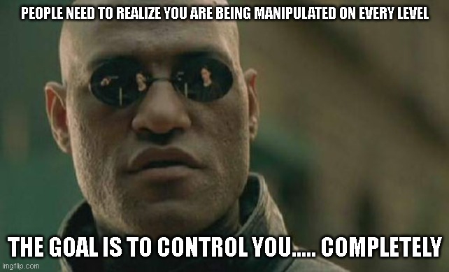 Control | PEOPLE NEED TO REALIZE YOU ARE BEING MANIPULATED ON EVERY LEVEL; THE GOAL IS TO CONTROL YOU..... COMPLETELY | image tagged in control government,falsehood | made w/ Imgflip meme maker