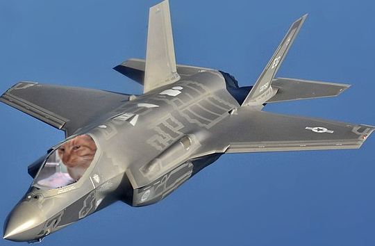 Mr. Fresh F-35 Blank Meme Template