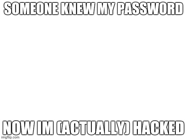 Pls help | SOMEONE KNEW MY PASSWORD; NOW IM (ACTUALLY) HACKED | image tagged in help me | made w/ Imgflip meme maker