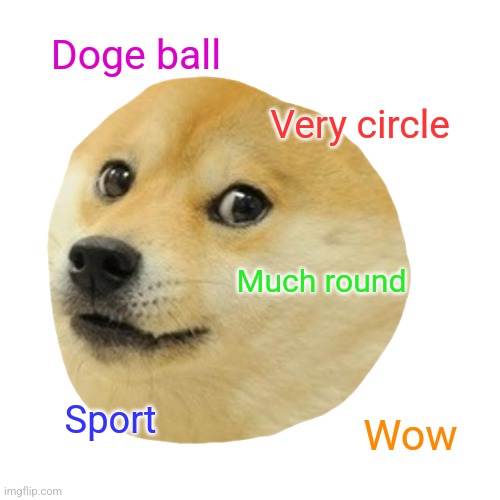 Doge Meme | Doge ball Very circle Much round Sport Wow | image tagged in memes,doge | made w/ Imgflip meme maker