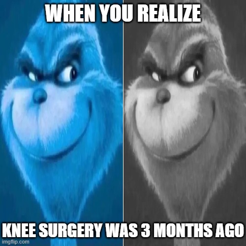 WHEN YOU REALIZE; KNEE SURGERY WAS 3 MONTHS AGO | image tagged in barney will eat all of your delectable biscuits | made w/ Imgflip meme maker