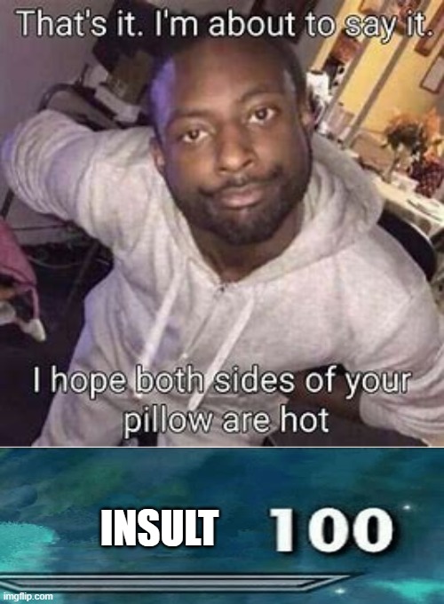 That is the insultiest insult that ever insulted | INSULT | image tagged in fun,insult,why are you reading the tags,doritos | made w/ Imgflip meme maker