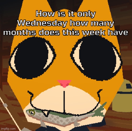 random yapping | How is it only Wednesday how many months does this week have | image tagged in random yapping | made w/ Imgflip meme maker