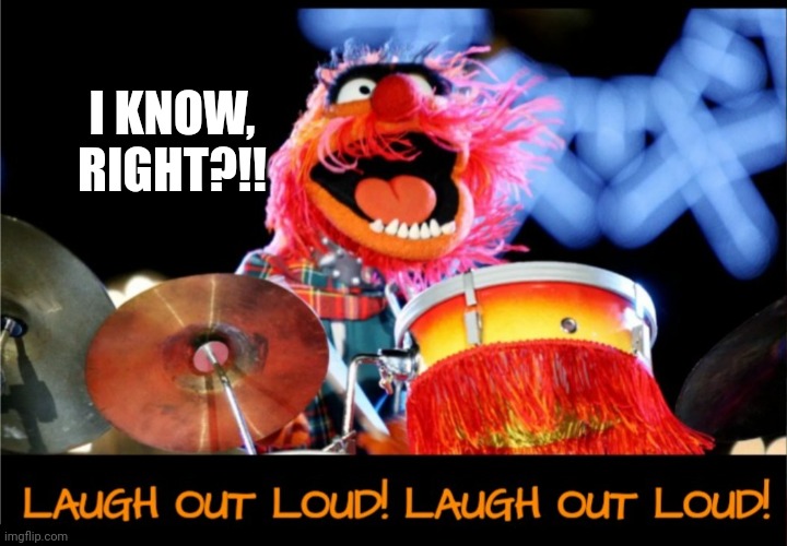 Animal laughing out loud | I KNOW, RIGHT?!! | image tagged in animal laughing out loud | made w/ Imgflip meme maker