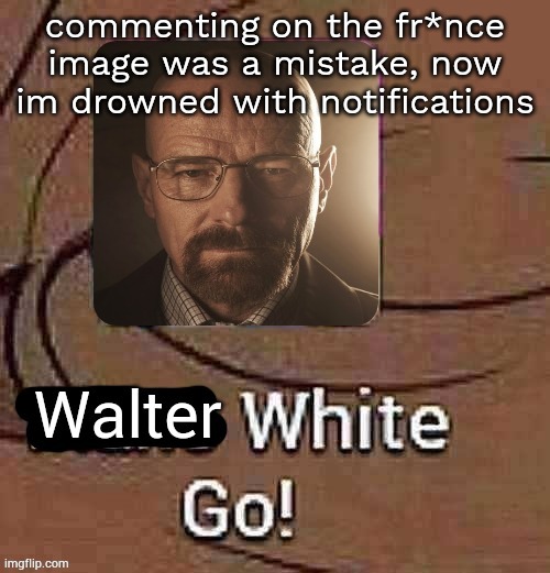 Walter White Go! | commenting on the fr*nce image was a mistake, now im drowned with notifications | image tagged in walter white go | made w/ Imgflip meme maker