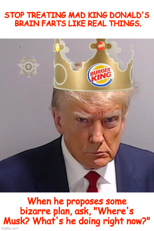 Mad King Donald Ideas | STOP TREATING MAD KING DONALD'S
 BRAIN FARTS LIKE REAL THINGS. When he proposes some bizarre plan, ask, "Where's Musk? What's he doing right now?" | image tagged in donald trump,elon musk | made w/ Imgflip meme maker