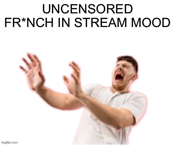 he left all caps on(custom) | UNCENSORED FR*NCH IN STREAM MOOD | image tagged in he left all caps on custom | made w/ Imgflip meme maker