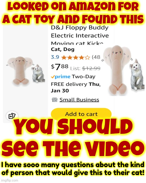 We Have Officially Entered 2025 | Looked on Amazon for a cat toy and found this; You should see the video; I have sooo many questions about the kind of person that would give this to their cat! | image tagged in cat toys,wtf,what is wrong with you people,i'm not giving that to my cat,memes,that's fubar | made w/ Imgflip meme maker