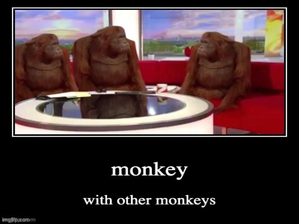 mobey | image tagged in monkey | made w/ Imgflip meme maker