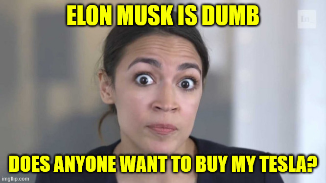 I hate Elon... Wanna buy my Tesla? | ELON MUSK IS DUMB DOES ANYONE WANT TO BUY MY TESLA? | image tagged in crazy alexandria ocasio-cortez | made w/ Imgflip meme maker