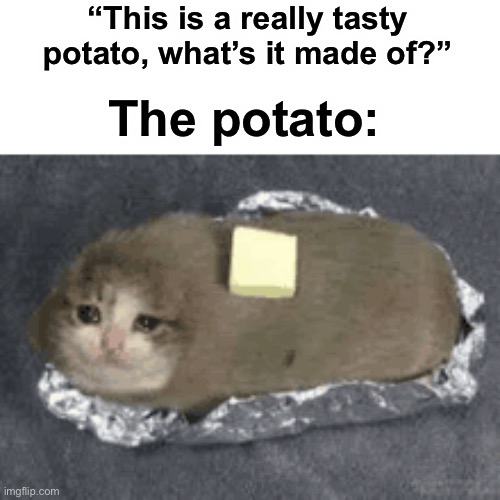 Do NOT eat the potato | “This is a really tasty potato, what’s it made of?”; The potato: | image tagged in memes,funny,cats,wholesome,food | made w/ Imgflip meme maker