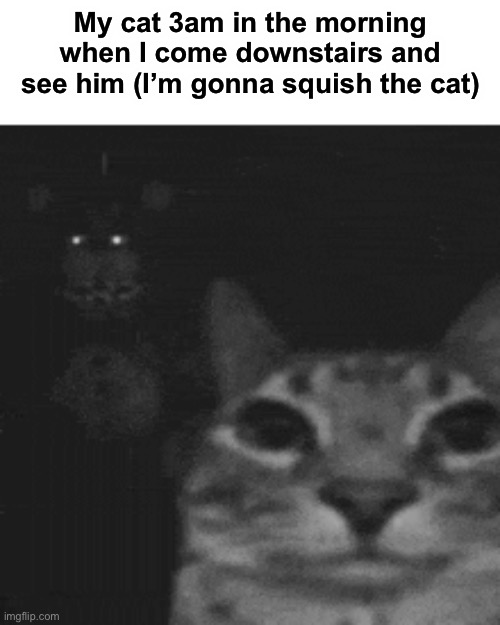 Oh no | My cat 3am in the morning when I come downstairs and see him (I’m gonna squish the cat) | image tagged in memes,funny,cats,wholesome | made w/ Imgflip meme maker